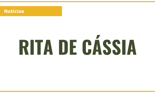 RITA DE CASSIA - Notícias site